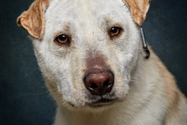 My New Friend – Bly