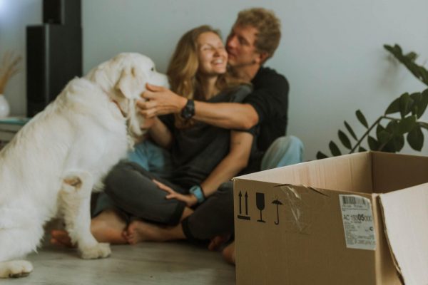 Dicas Para Quando Mudar de Casa com um Cão