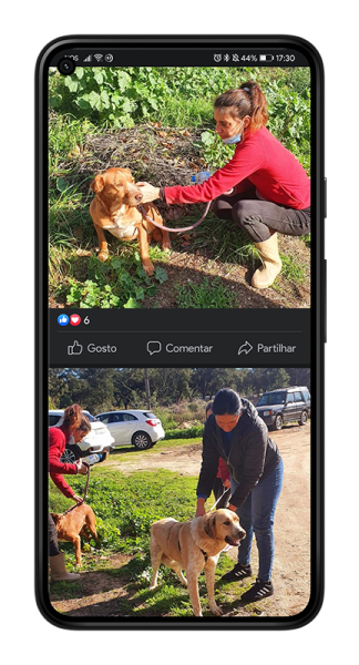 Screenshot_20220413_173045_com.facebook.katana_google-pixel5-justblack-portrait_small